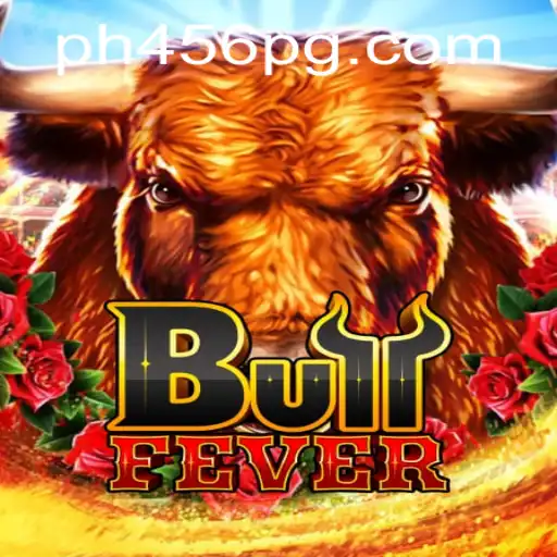 Understanding BullFever: An Engaging Game Experience